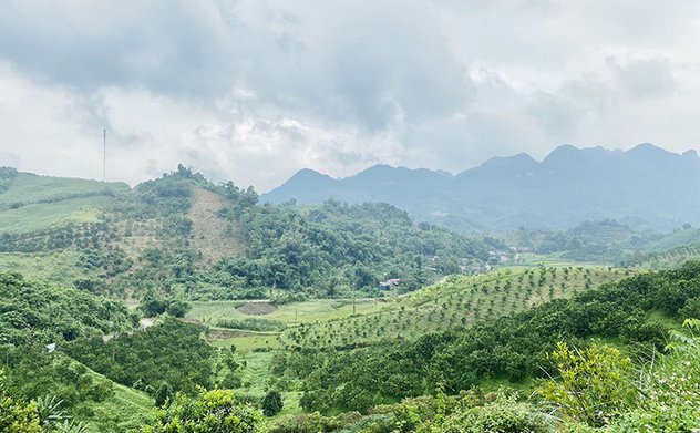 Sẽ tách quá trình sắp xếp, xử lý nhà đất ra khỏi quá trình cổ phần hóa