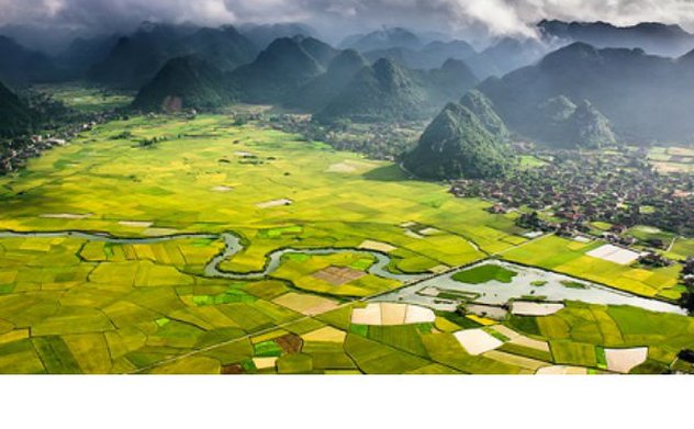 Kế hoạch triển khai Nghị quyết 11- NQ/TW của Bộ Chính trị về phương hướng phát triển kinh tế-xã hội, bảo đảm quốc phòng, an ninh vùng trung du và miền núi Bắc Bộ đến năm 2030, tầm nhìn đến năm 2045