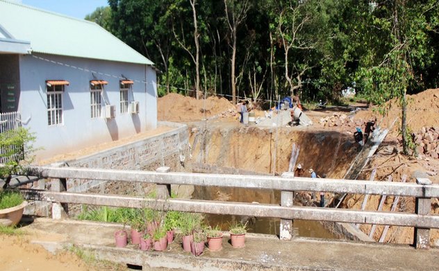 Xử lý nghiêm tình trạng phá rừng, lấn chiếm đất rừng trái pháp luật