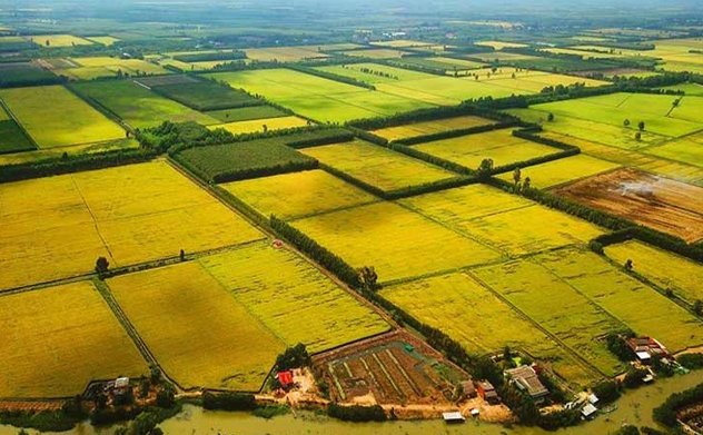 Chính phủ ban hành chương trình hành động về quy hoạch sử dụng đất và kế hoạch sử dụng đất