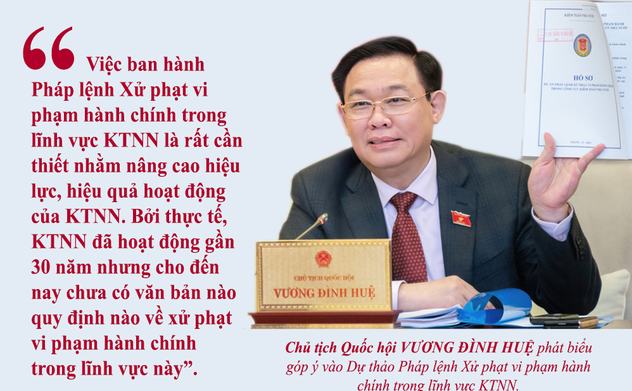 Những nội dung chính của Pháp lệnh xử phạt vi phạm hành chính trong lĩnh vực Kiểm toán nhà nước