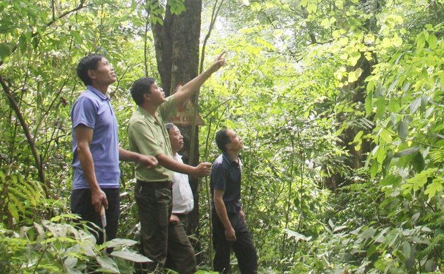 Kiểm toán việc quản lý, sử dụng Quỹ Bảo vệ và Phát triển rừng giai đoạn 2020-2022: Kiến nghị các địa phương chấn chỉnh, khắc phục nhiều thiếu sót