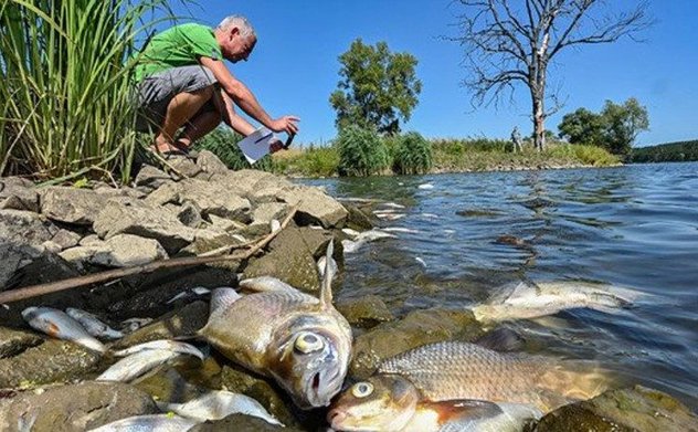 Ba Lan: Cảnh báo về thảm họa môi trường trên diện rộng tại sông Oder