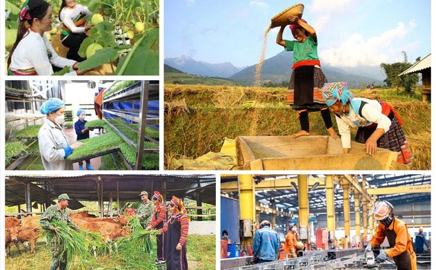 Thủ tướng chỉ đạo tập trung tháo gỡ khó khăn, vướng mắc thúc đẩy thực hiện 3 Chương trình mục tiêu quốc gia