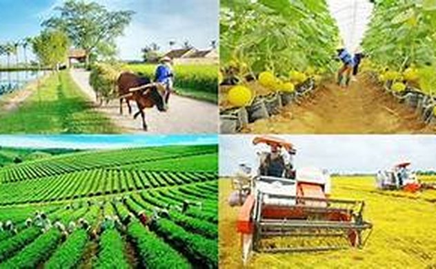 Ban hành Hướng dẫn việc chuẩn bị ý kiến của KTNN về chủ trương đầu tư chương trình mục tiêu quốc gia, dự án quan trọng quốc gia