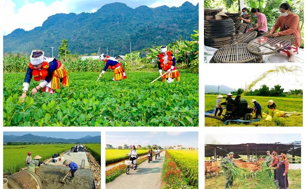 Tích hợp 03 chương trình mục tiêu quốc gia, tránh chồng chéo