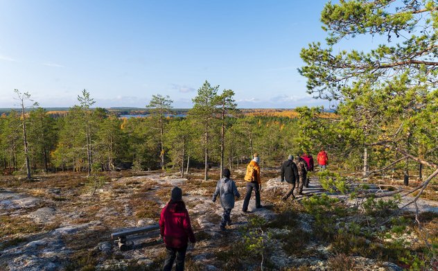 Phần Lan: Đánh giá hiệu quả của các hình thức hỗ trợ đối với ngành lâm nghiệp