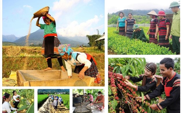 Khẩn trương ban hành hướng dẫn chương trình mục tiêu quốc gia