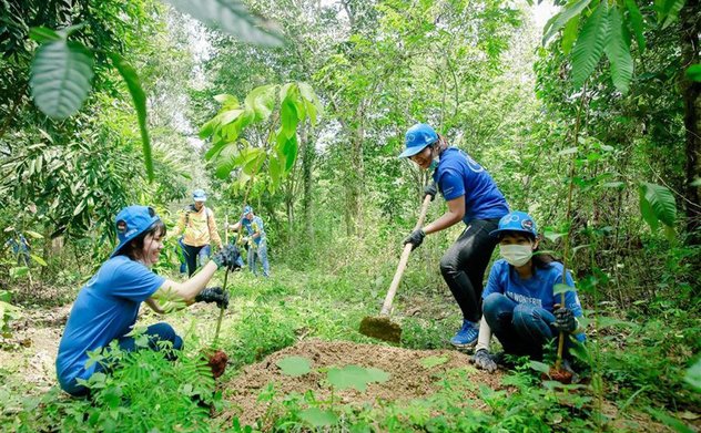 Kiểm toán nhà nước: Công khai kết quả kiểm toán Chuyên đề việc quản lý, sử dụng Quỹ Bảo vệ và phát triển rừng giai đoạn 2020-2022 tại Yên Bái