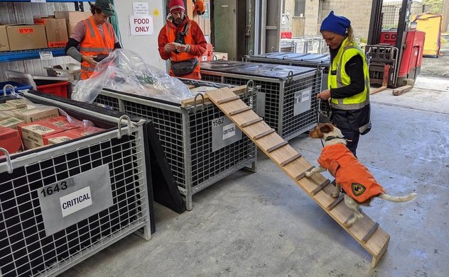 Kiểm toán nhà nước Australia cảnh báo các rủi ro liên quan đến an toàn sinh học