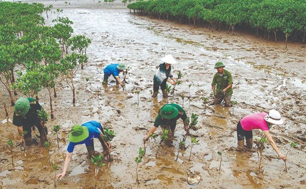Nhiều bất cập trong quản lý, sử dụng vốn Chương trình Mục tiêu ứng phó với biến đổi khí hậu và tăng trưởng xanh giai đoạn 2016-2020
