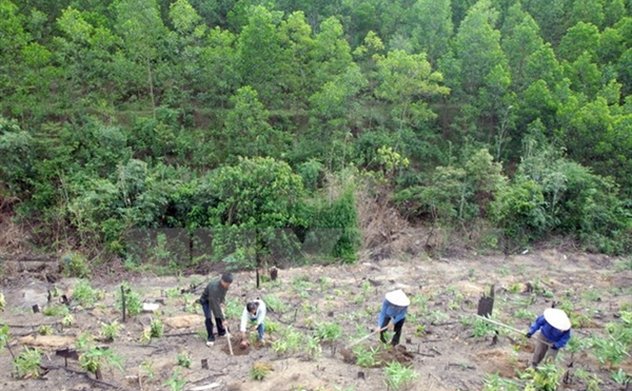 Kiểm toán nhà nước: Công bố kết quả kiểm toán chuyên đề việc quản lý, sử dụng Quỹ Bảo vệ và phát triển rừng giai đoạn 2020-2022