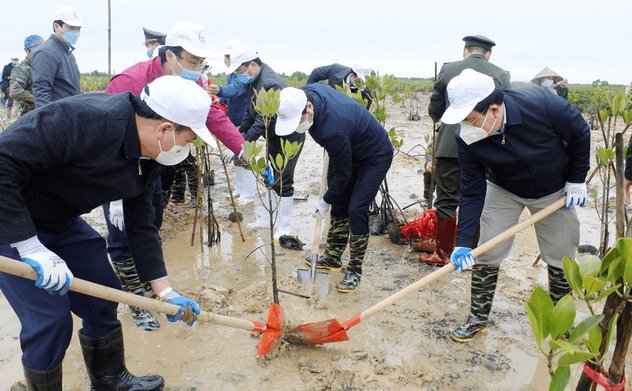 Kiểm toán nhà nước khu vực VI chỉ ra nhiều bất cập trong bảo vệ và phát triển rừng tại các địa phương