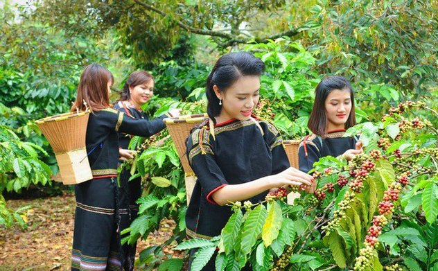 Đẩy nhanh tiến độ tổ chức triển khai thực hiện các chương trình mục tiêu quốc gia